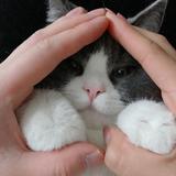 X头像