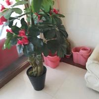 用户4465669151679头像