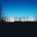 强迫症本尊的个人资料头像