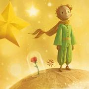 杰辉的个人资料头像