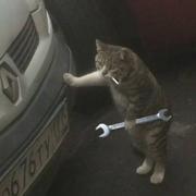 wyn730的个人资料头像