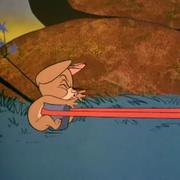 芥末好甜的个人资料头像