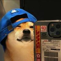 暖心白菜头像