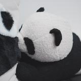 中年小陀螺头像