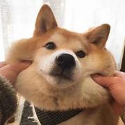 搞笑851的个人资料头像