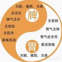 敏锐帆船Cg6头像