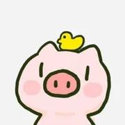 小番茄打代码的个人资料头像