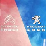 东风标致雪铁龙焦作店头像