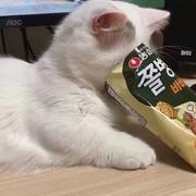 太阳92的个人资料头像