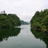 沉默是金0K5z头像
