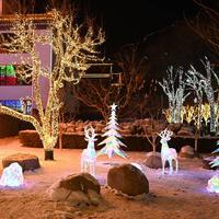 顾望怀愁443头像