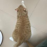Antony张的个人资料头像