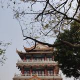 乾一116头像