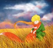 凌晗的个人资料头像