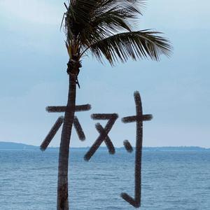 小迷糊