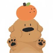 Dandelion585的个人资料头像