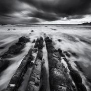 Scarletblue8的个人资料头像