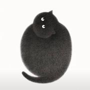 林昱凌的个人资料头像