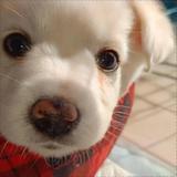 风生水起9617头像