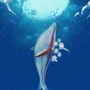 玄盾的个人资料头像