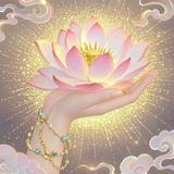 百万憨憨是只马犬头像