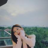 自由大自然的搬运工19头像