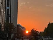 小屋的个人资料头像