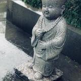 新雨不弃头像