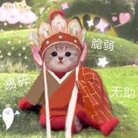 今天练天鹅臂了吗头像