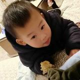 喜爱汽车的小男孩头像