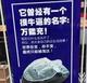 墨鱼仔柏头像