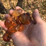 吉安小丽在深圳头像