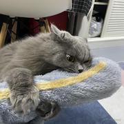 小糖同学的个人资料头像