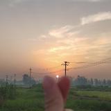 為何自己吥聽話头像