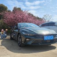彭师兄头像