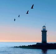 黑日梦想实现家的个人资料头像