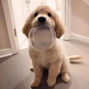 黑非的个人资料头像