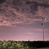 博学的蜻蜓1Qh头像