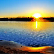 指尖上的柔情的个人资料头像