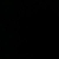 端庄优雅柑桔jox头像