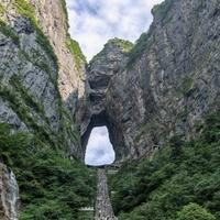 来吃锅包又头像