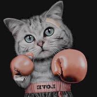 小憨憨爱骑车头像