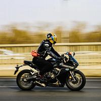 钢铁萌宠独角兽头像