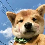 crucal的个人资料头像