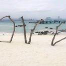 牧不想说话的个人资料头像