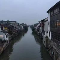 哈雷465头像