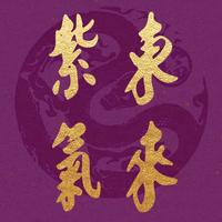 光头萌老师头像