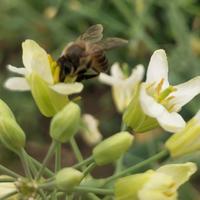 夏日寒风2018头像