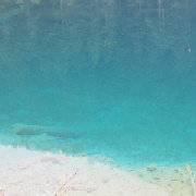 IloveHTInALLMyLife的个人资料头像