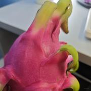 小小派大星的个人资料头像